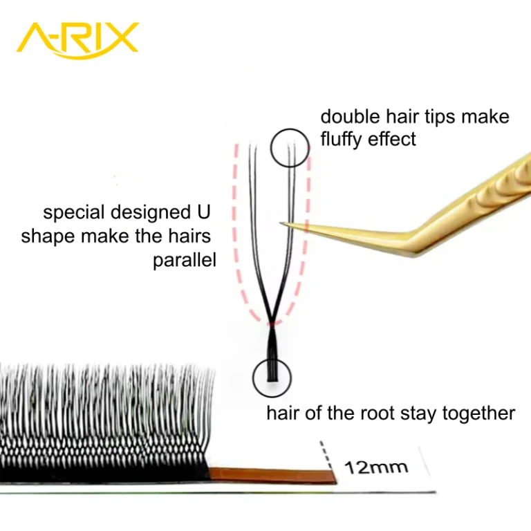 U-shape-yy-lash-Shape-anatomy